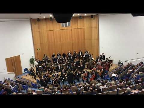 Äajkovskij - Svoboda - Ryba, VýchodoÄeský akademický orchestr, 20.12.2018